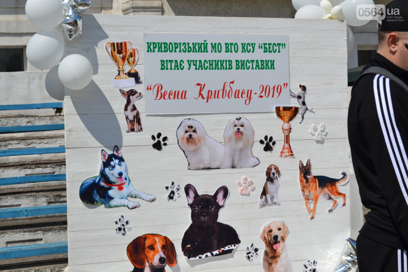 Выставка собак "Весна Кривбасу 2019"