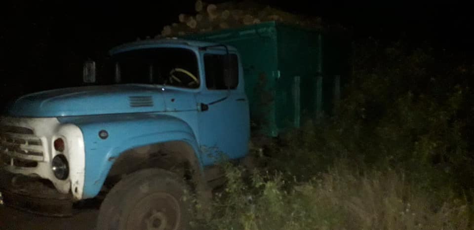 Машину дров незаконно напилил в лесополосе предприимчивый житель Кривого Рога 