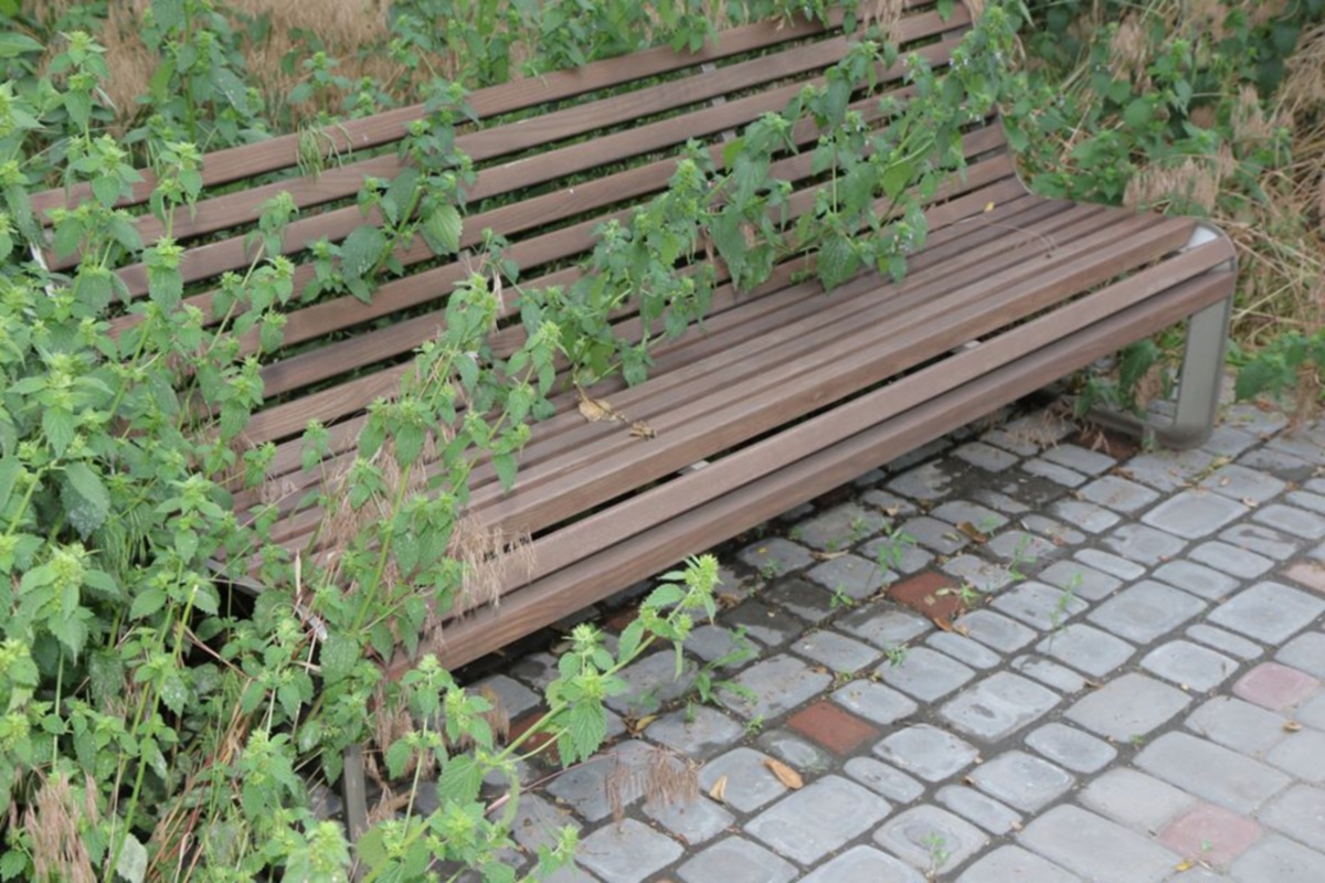Романтическая скамейка в Гданцевском парке.