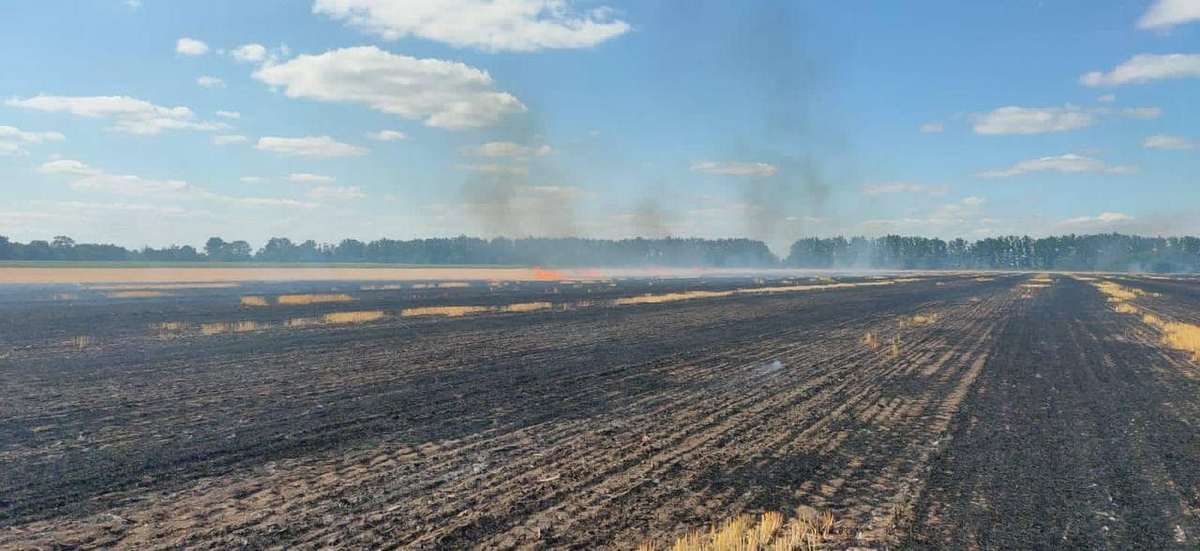 400 гектарів посівів згоріли через ворожі обстріли.