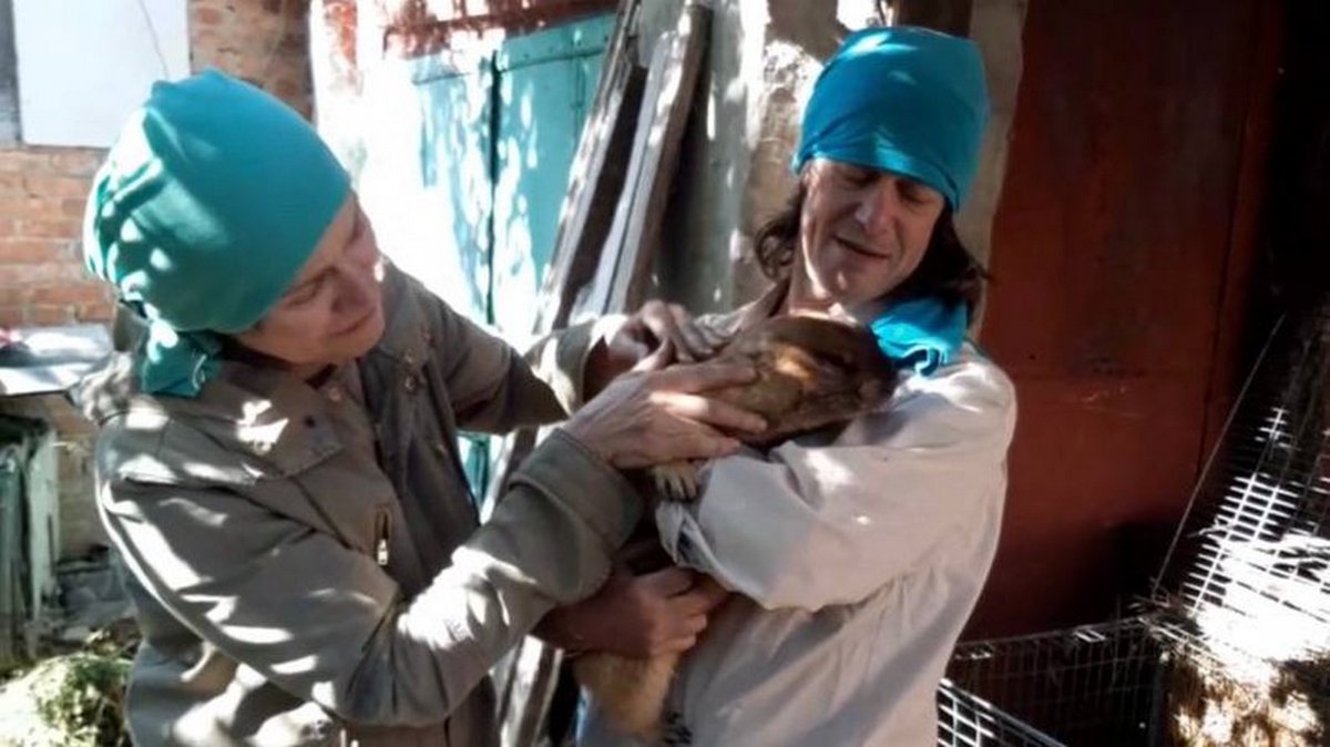 За тваринами доглядали двоє працівників біостанції Харківського університету імені Каразіна