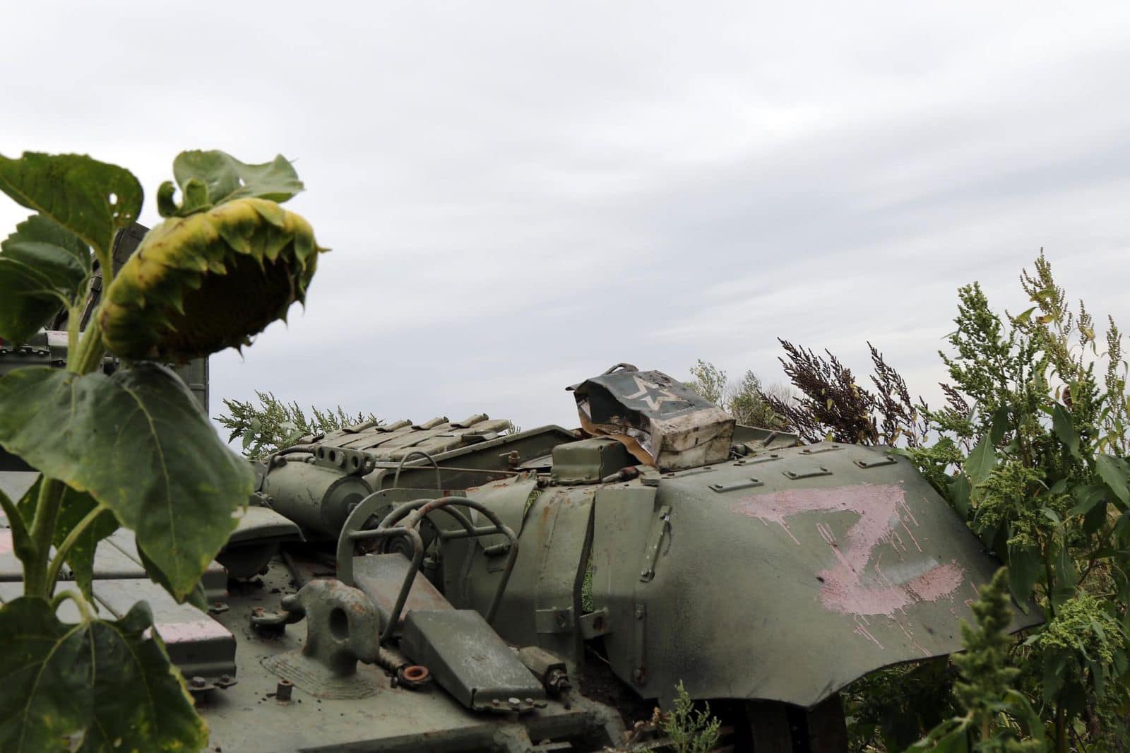 Українське поле стало нездоланною перешкодою для російських загарбників