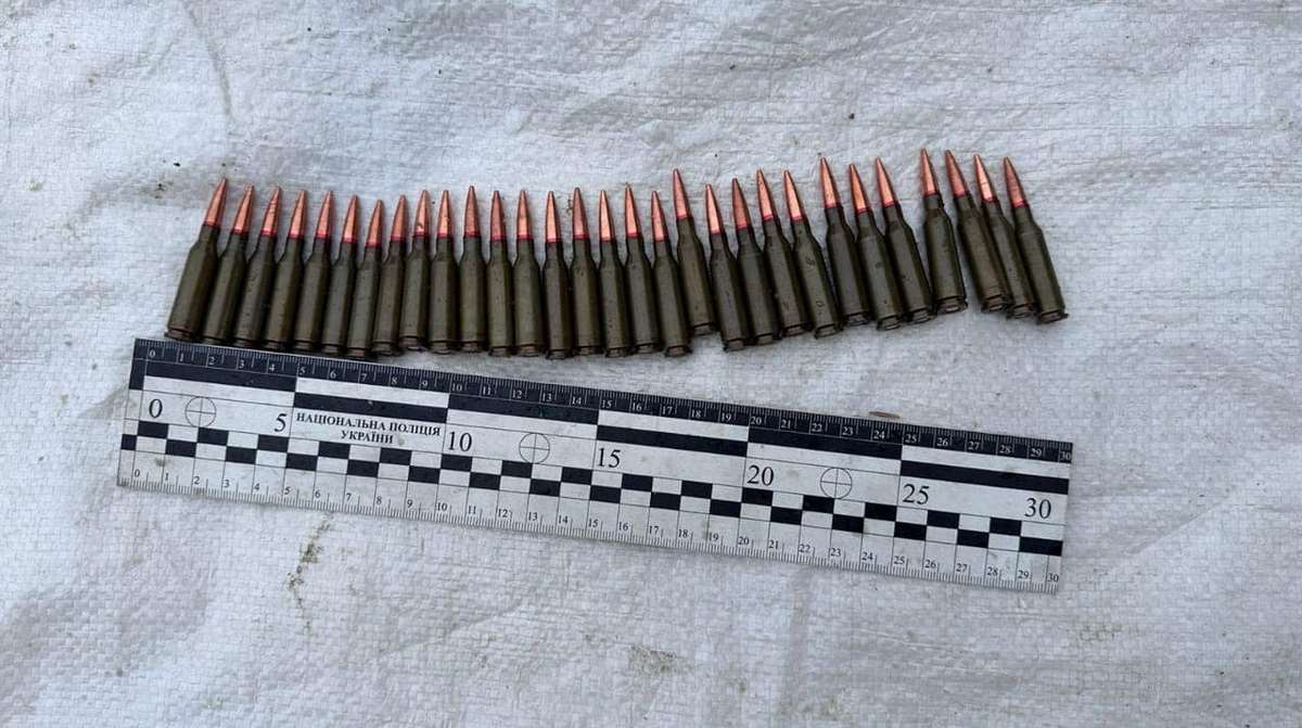 Правоохоронці вилучили дві гранати із запалами та 30 набоїв калібру 5,45.