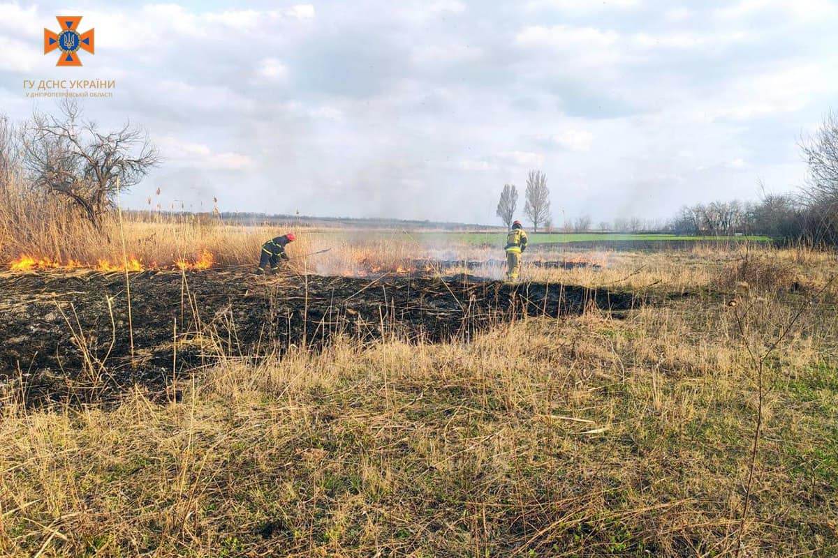 Вогонь знищив суху траву та очерет на відкритій території площею 3 га.
