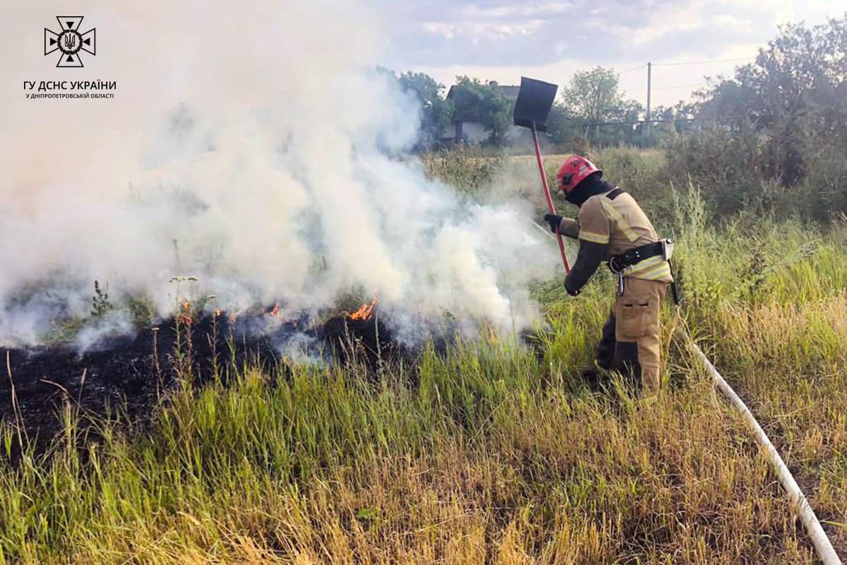 На полі у селі Велика Костромка Криворізького району виникла пожежа