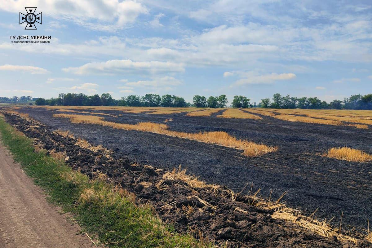 На полі горять післяжнивні залишки пшениці