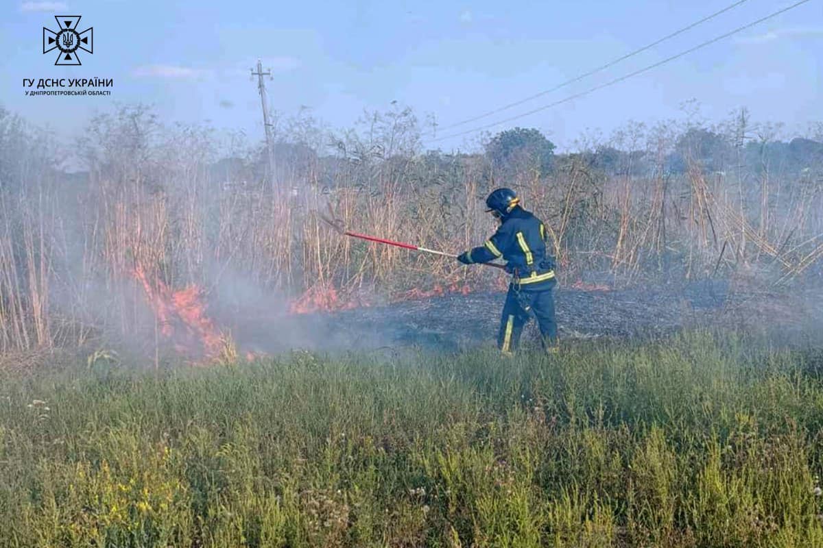 Загальна площа знищених вогнем екосистем склала понад 31 га.