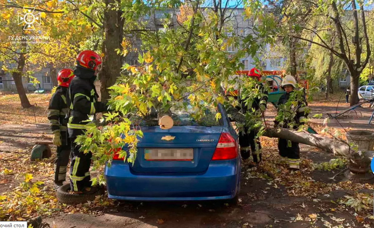 Рятувальники прибрали дерево з автомобіля