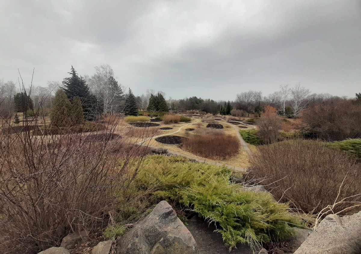 Панорама Криворізького ботанічного саду у лютому 2024 року