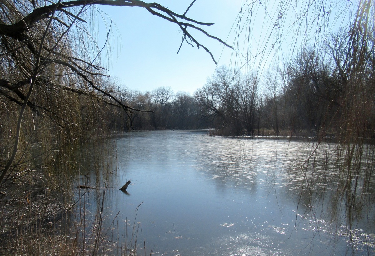 Річка Саксагань у парку "Веселі Терни"