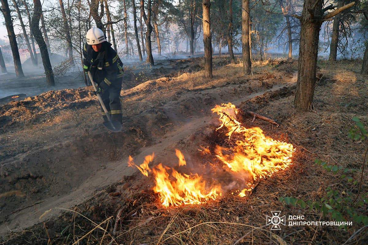 У Дніпропетровській області за добу знищено 156 га лісу та лісопосадок 