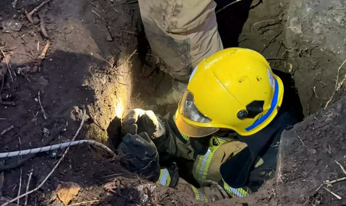 2 лютого у Кривому Розі на вулиці Гете двоє цуценят потрапили у глибоку яму.