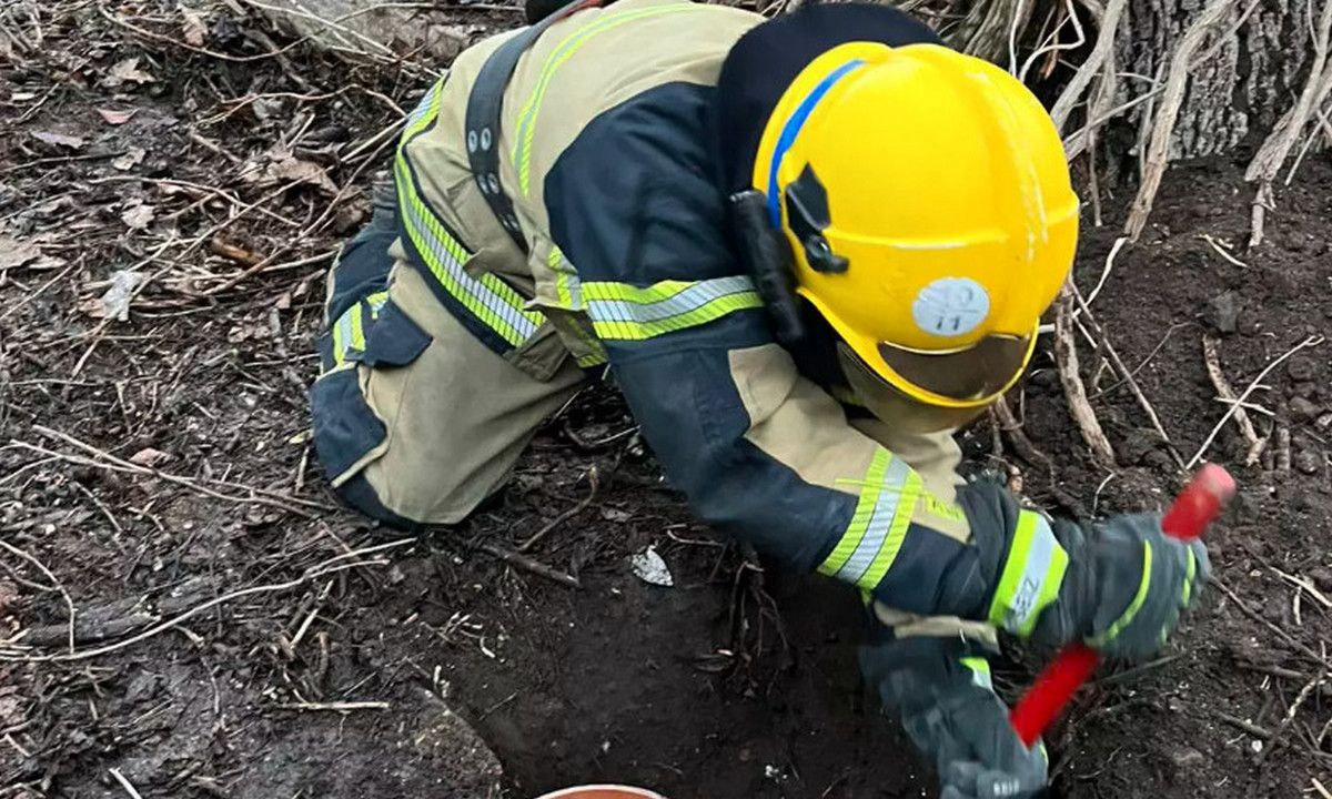 Двоє маленьких собак опинилися у вузькому заглибленні глибиною близько 2 метрів