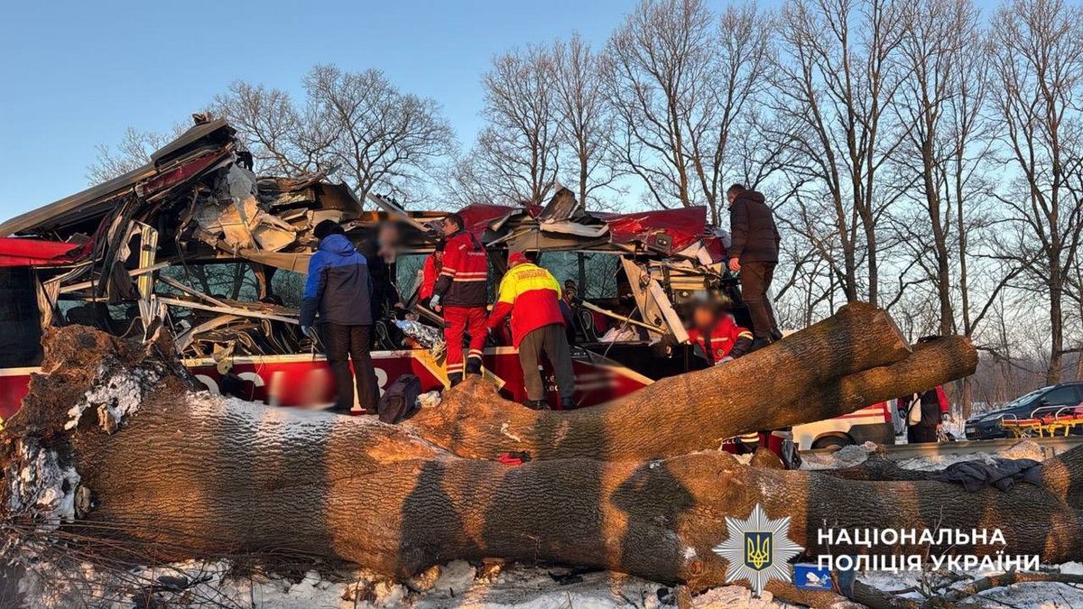 Пасажирський автобус міжнародного сполучення «Відень–Київ» виїхав за межі дороги, врізався у відбійник та дерево.