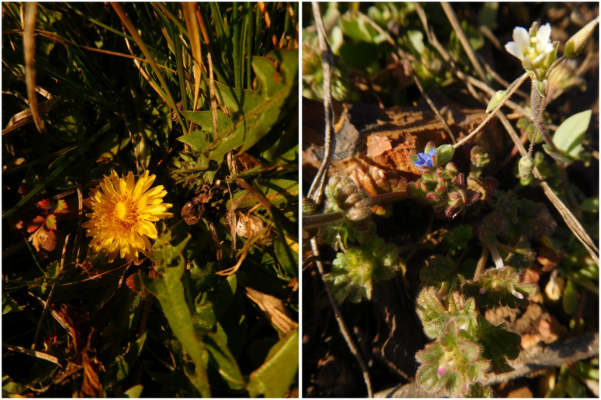 До Кривого Рогу прийшла весна До Кривого Рогу прийшла весна