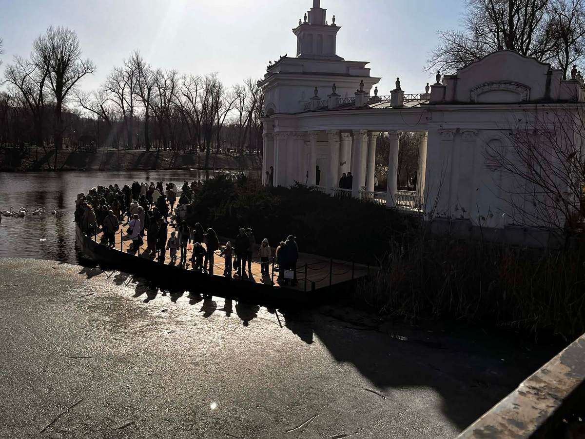 Криворіжці милуються птахами