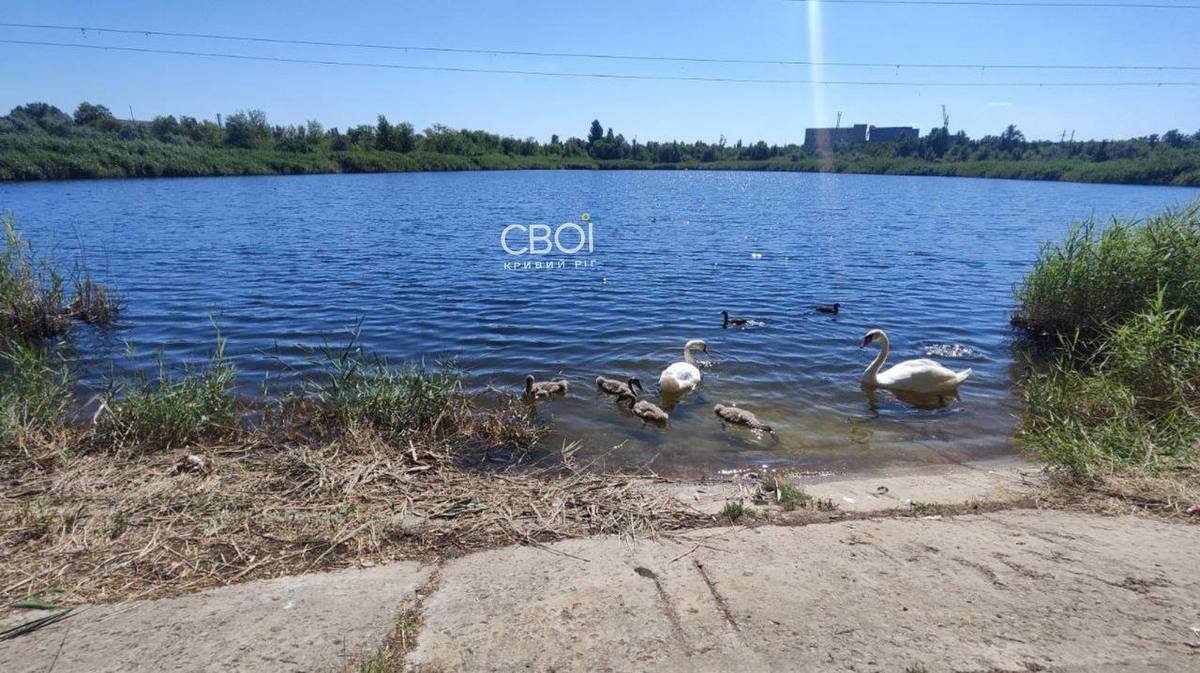 У народі цю водойму називають "Акваріум" У народі цю водойму називають "Акваріум"